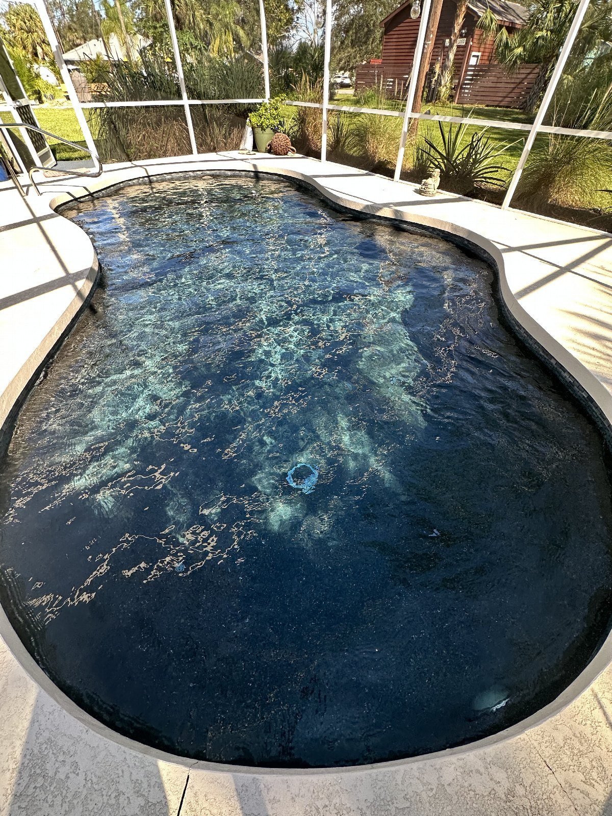 Freeform pool in North Port, weekly service